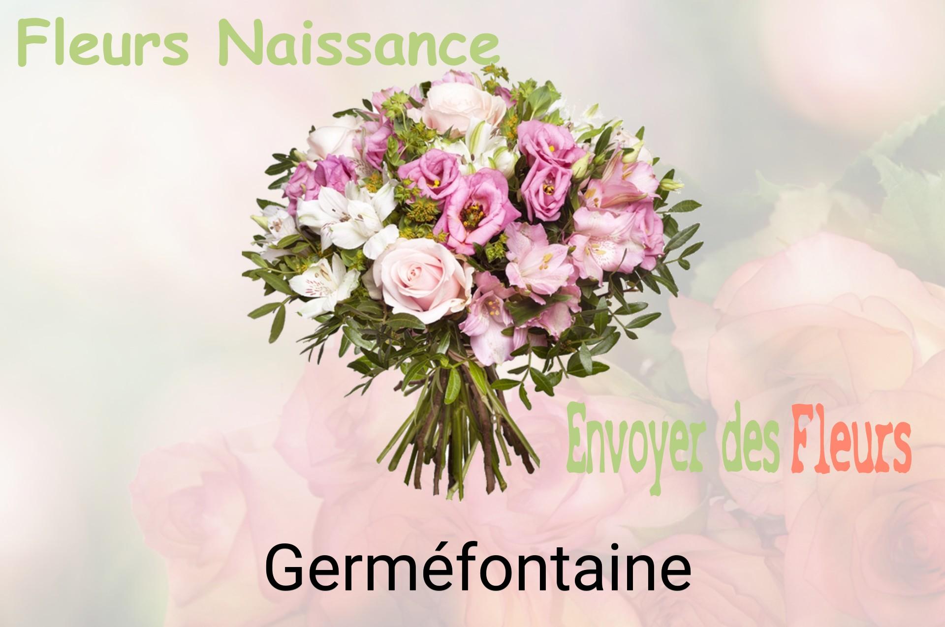 Bouquet de fleurs de naissance livré à Germéfontaine